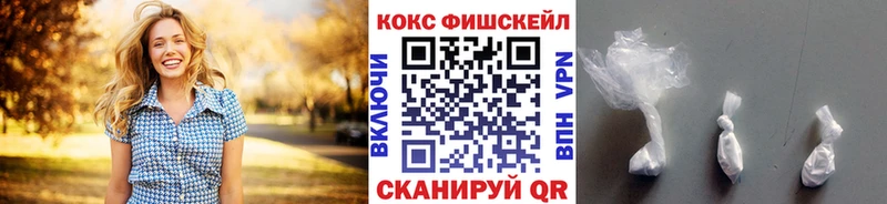 блэк спрут ССЫЛКА  магазин продажи наркотиков  Иркутск  Cocaine Fish Scale 