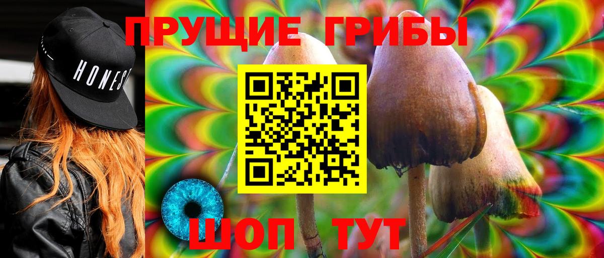 где найти   Галлюциногенные грибы мицелий  Вход с VPN  Россия 